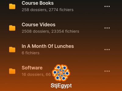 أكبر مكتبة كورسات مدفوعة 2025 | أكثر من 1000 جيجا من أفضل الكورسات