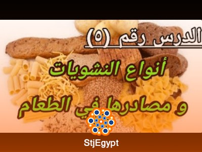 تعلم أساسيات التغذية مع الدكتور ياسر عبدالعزيز