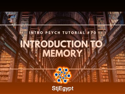 Memory and Cognition: How We Store, Retain, and Recall Information
