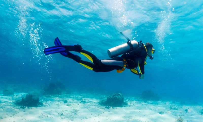 Fresh Graduate Accountant -Aqua & Diving Center