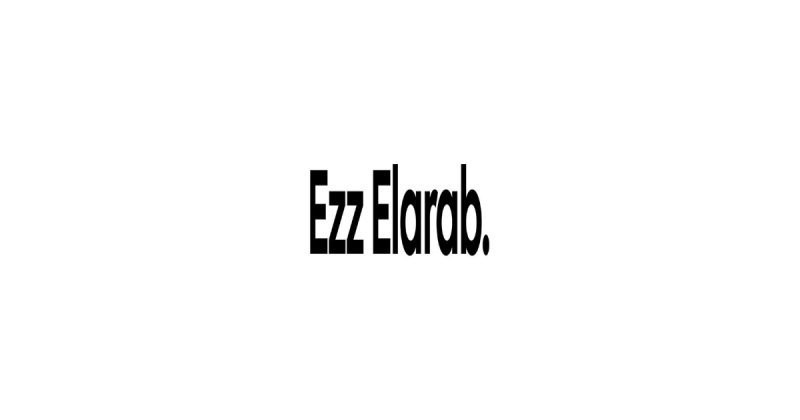 Treasury Accountant - Ezz-Elarab Automotive Group