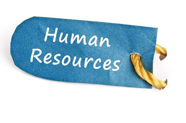 دور إدارة الموارد البشرية (HR) في نجاح الأعمال