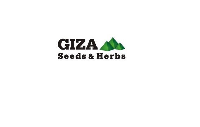 Talent Acquisition Specialist ,Giza Seeds & Herbs