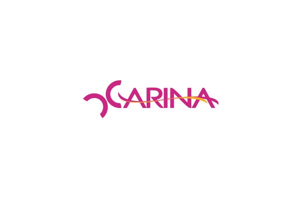 Store Accountant -  Carina Wear