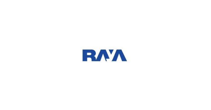 Senior Costing Accountant , Raya Holding for Financial Investments