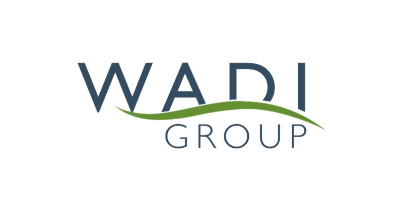 Talent Development Analyst - Wadi Group