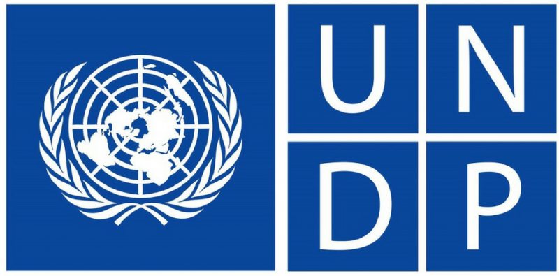 Finance Assistant - UNDP