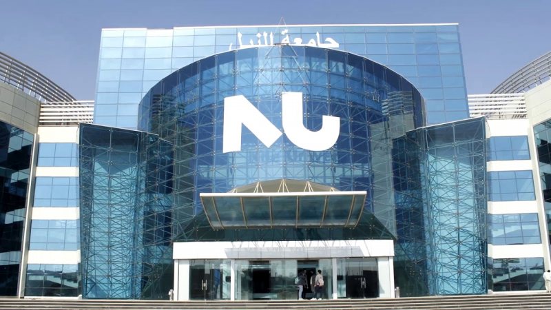 Treasury Accountant, Nile University