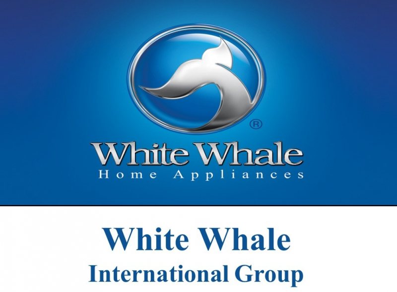 Executive Secretary , White Whale International
