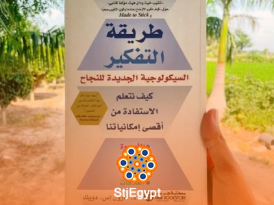 ملخص كتاب "طريقة التفكير: سيكولوجية النجاح الجديدة" - الفرق بين العقلية الثابتة والعقلية النامية