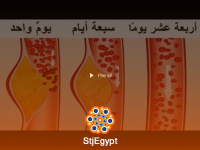 كورس علوم التغذية