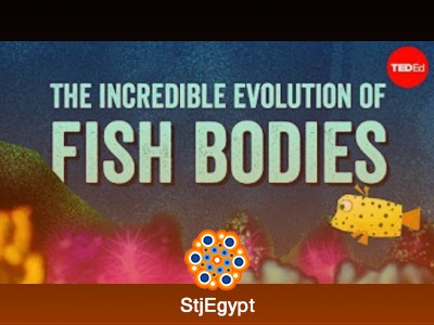 أسرار الطبيعة المدهشة | استكشف الحياة البرية والظواهر الطبيعية