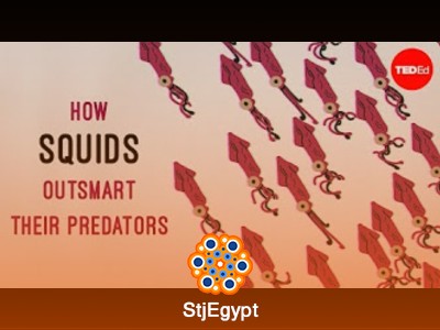 استكشاف أعماق المحيطات: الحياة البحرية، الاكتشافات المدهشة، وحماية المحيطات