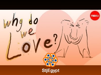 استكشاف الحب والعلاقات من منظور علمي وفلسفي