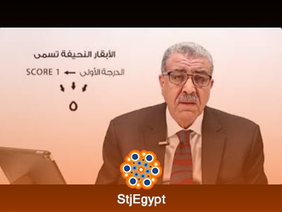 كورس أساسيات إدارة أبقار حديثي الولادة مع د. محمد واعر