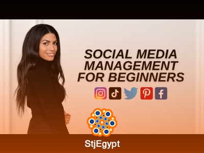 How to Become a Successful Social Media Manager: Complete Beginner to Pro Guide