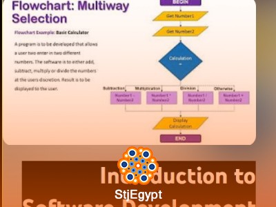 Systems Development & Data Representation Course | SDD Analysis, DFD, Data Types & Number Systems