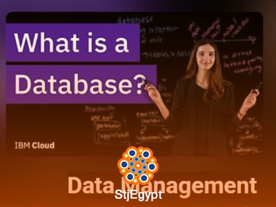 Introduction to Databases & Data Architecture (IBM Technology Course)