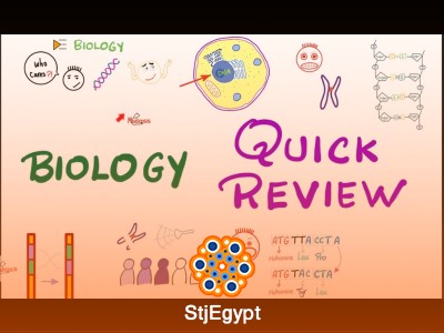 Comprehensive Biology Review in 1 Hour: High-Yield Exam Revision