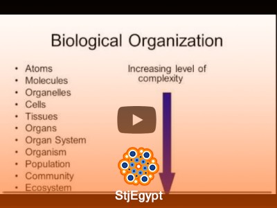 Biology 101 Lecture 1: Introduction to Biology Fundamentals