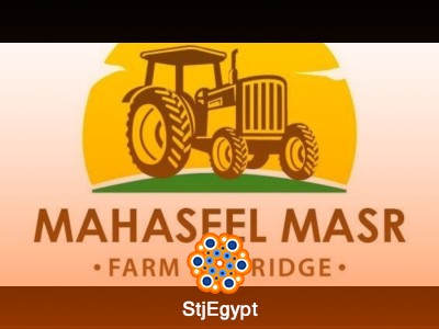 Content Specialist at Mahaseel