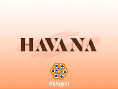 Account Manager and Data Entry - Havana's Secret