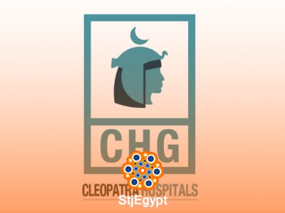 Payable Accountant at Cleopatra Hospitals Group