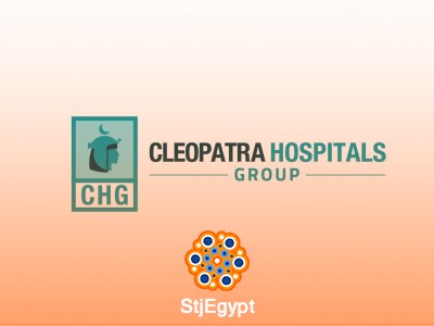 Data Entry at Cleopatra Hospitals Group