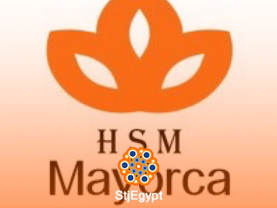 Cost Accountant - Ceramica Mayorca