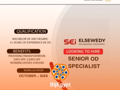 Senior OD Specialist - El Sewedy