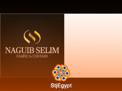 General Accountant at Naguib Selim