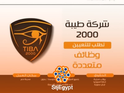 شركة طيبة 2000 | 13 وظيفة مخلتفة