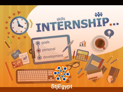 Summer Internship Opportunity for University Students in Cairo
