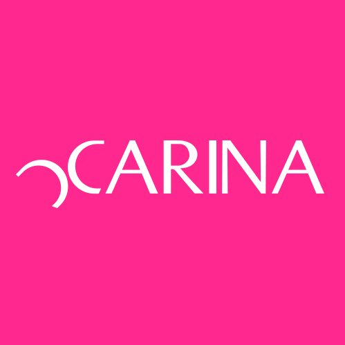 Data Entry Clerk at Carina Wear - STJEGYPT