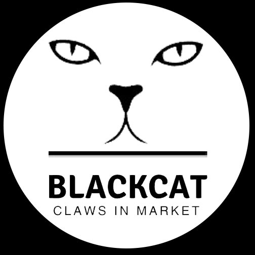 Graphic Designer at blackcat media - STJEGYPT