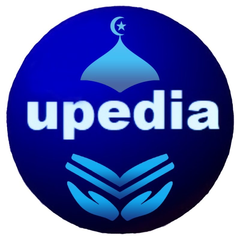Media Buyer at Upedia - STJEGYPT
