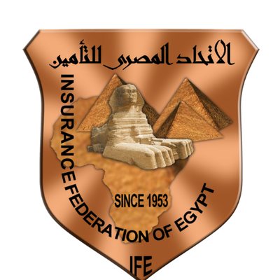 Junior Accountant at Insurance Federation of Egypt - STJEGYPT