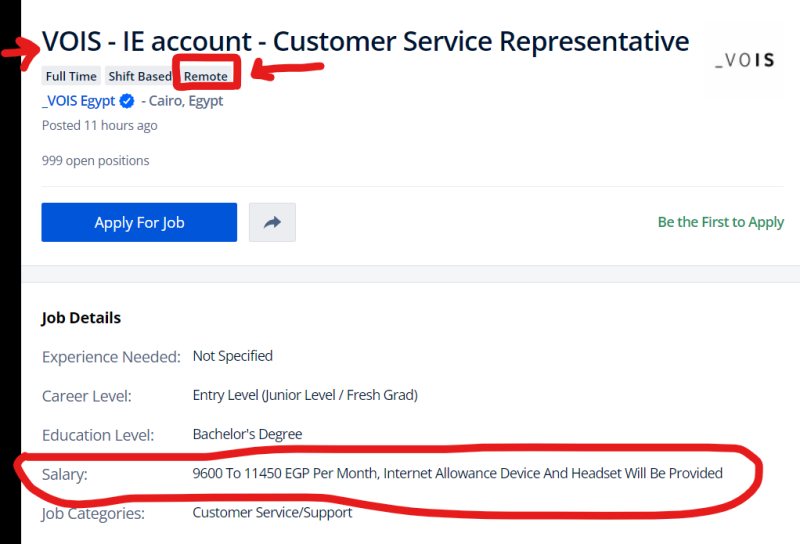 Customer Service Representative - _VOIS Egypt - Work From Home - STJEGYPT