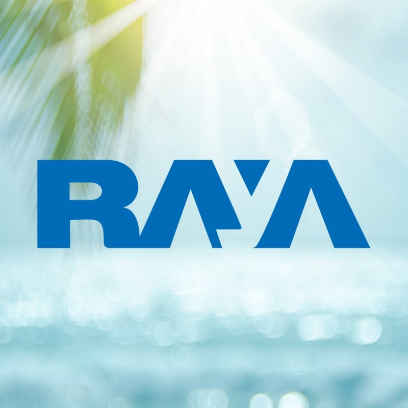 AR Accountant at Raya - STJEGYPT