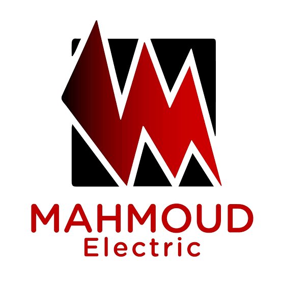 Treasury Accountant at Mahmoud Electric - STJEGYPT