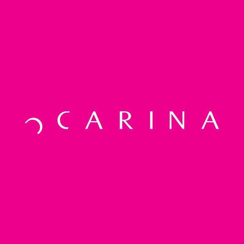 Data Entry at Carina Wear - STJEGYPT