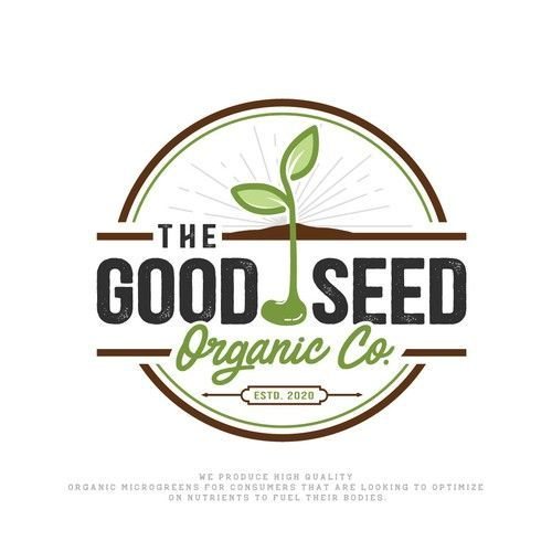 Account Officer at Good Seed - STJEGYPT