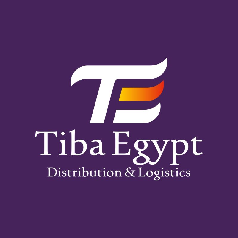 data entry at Tiba Egypt - STJEGYPT