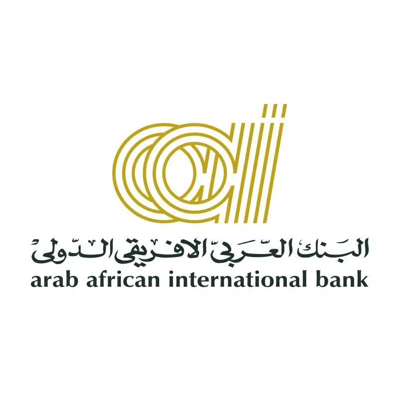 Consolidated Reporting Officer/Sr. Officer at Arab African International Bank - STJEGYPT