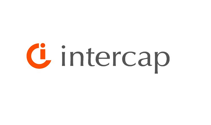 Credit Analyst/Investment Banking at Intercap Capital - STJEGYPT