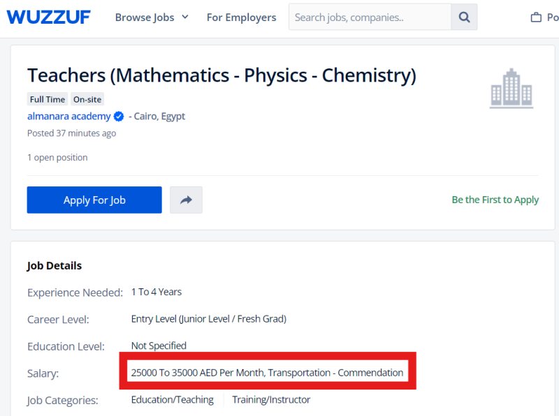 Teachers (Mathematics - Physics - Chemistry) - almanara academy - STJEGYPT